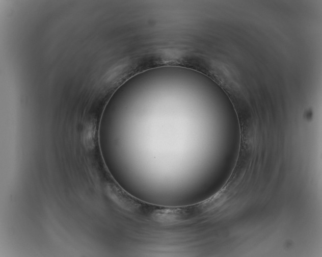 X0000090700082200707271118