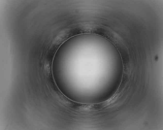 X0000090700086200707271118