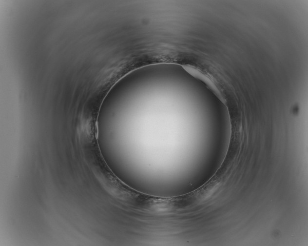 X0000090700088200707271118