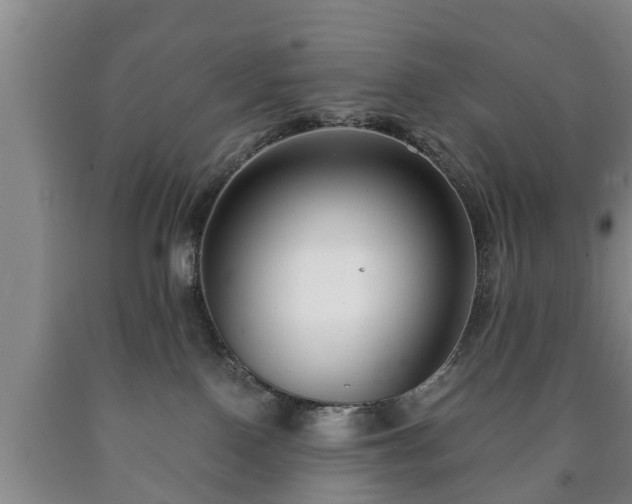 X0000090700090200707271118