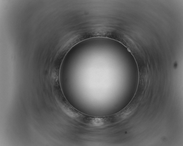 X0000090700091200707271118