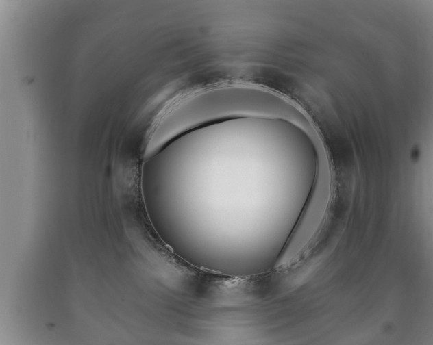 X0000090700092200707271118