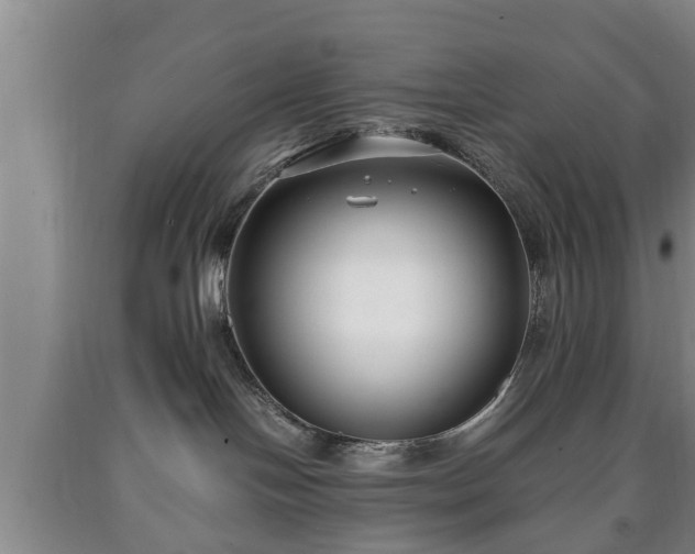 X0000090700094200707271118