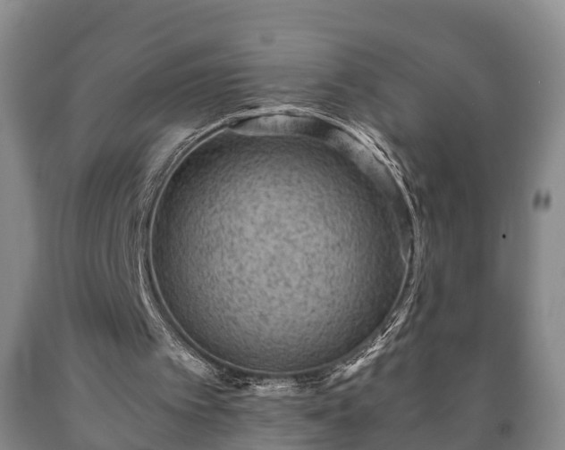 X0000090700097200707271118