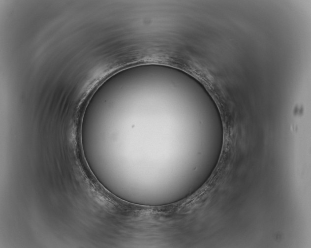 X0000090700098200707271118