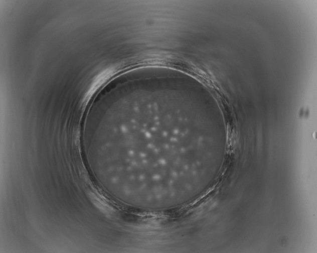 X0000090700099200707271117