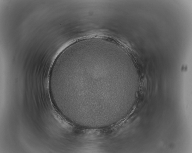 X0000090700100200707271117