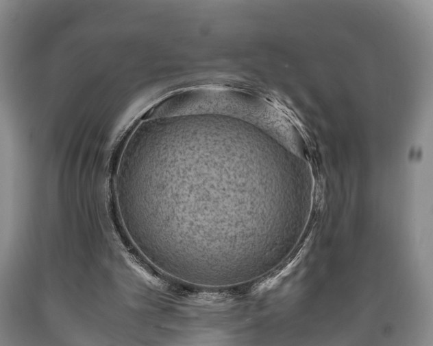 X0000090700101200707271117