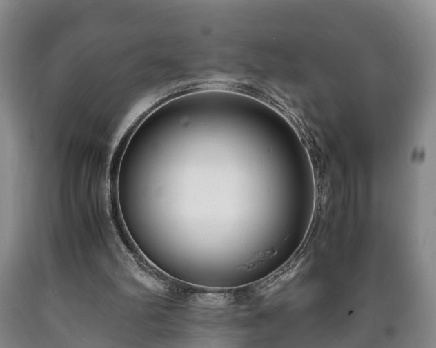 X0000090700102200707271117