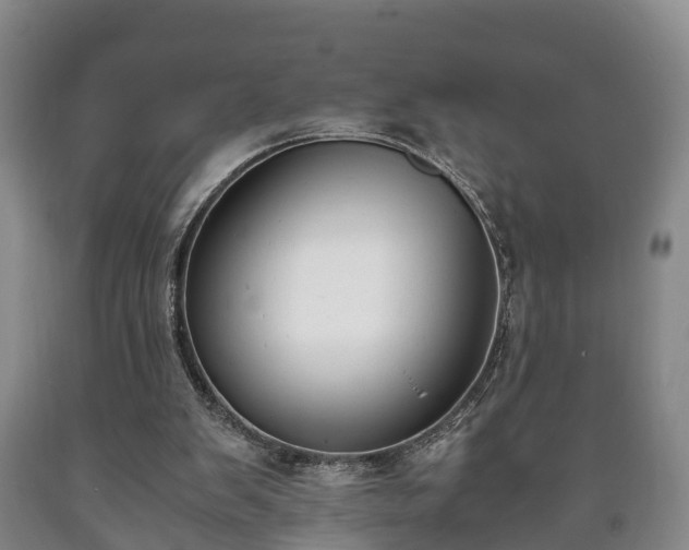 X0000090700103200707271117