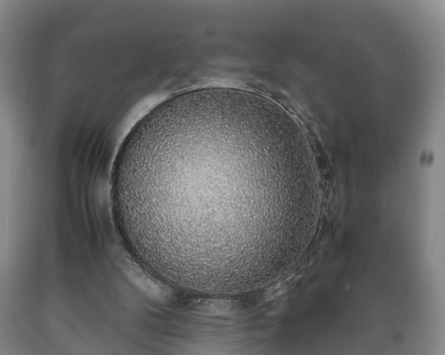 X0000090700104200707271117