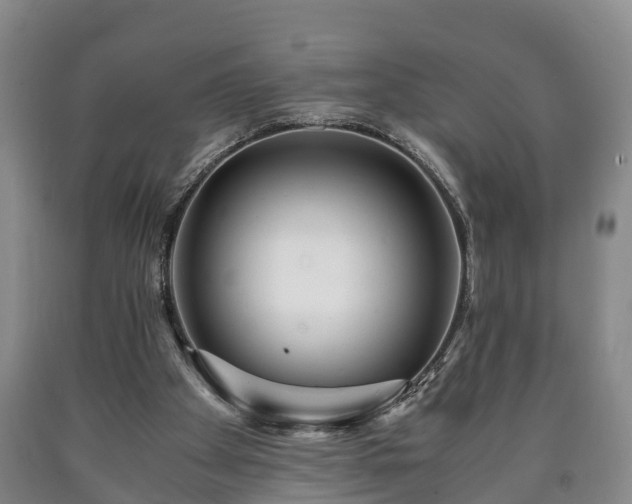 X0000090700105200707271117