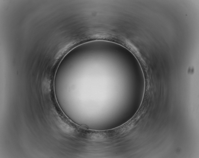 X0000090700106200707271117