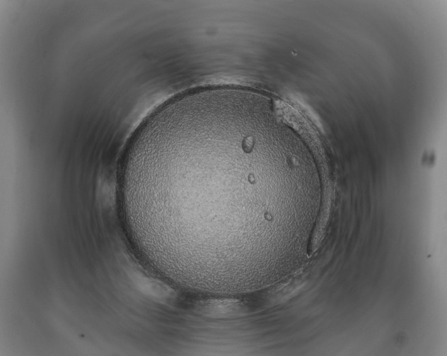 X0000090700108200707271117