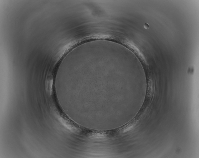 X0000090700110200707271117