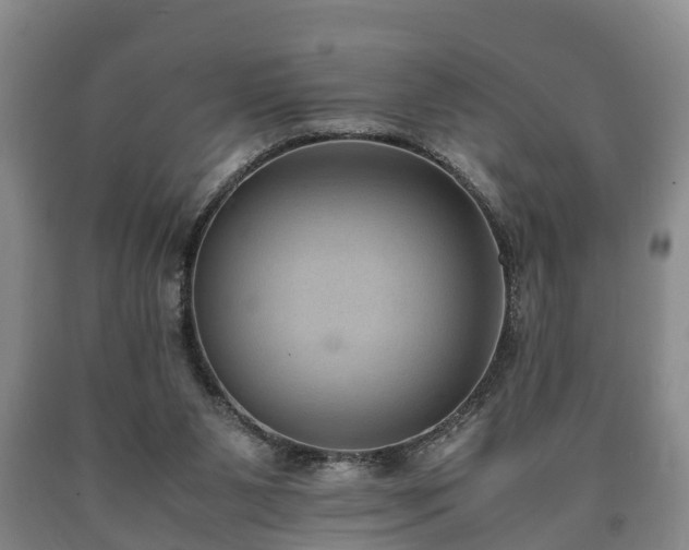 X0000090700111200707271117