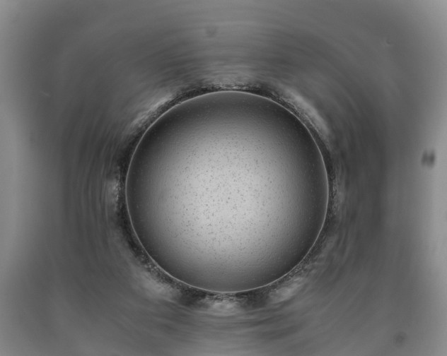 X0000090700113200707271117