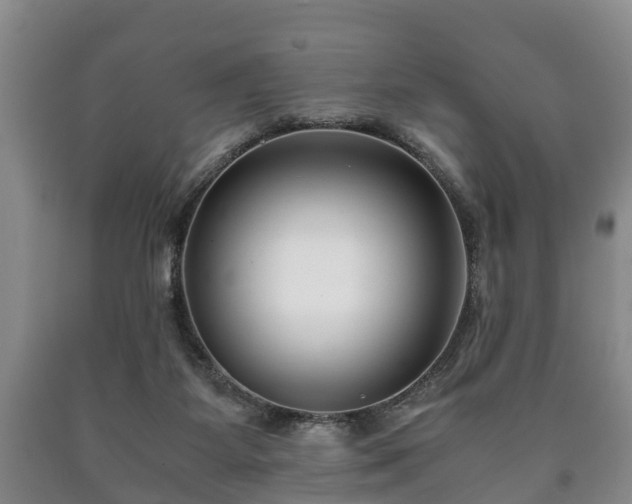 X0000090700115200707271117