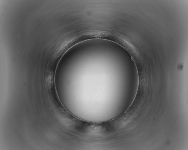 X0000090700119200707271117