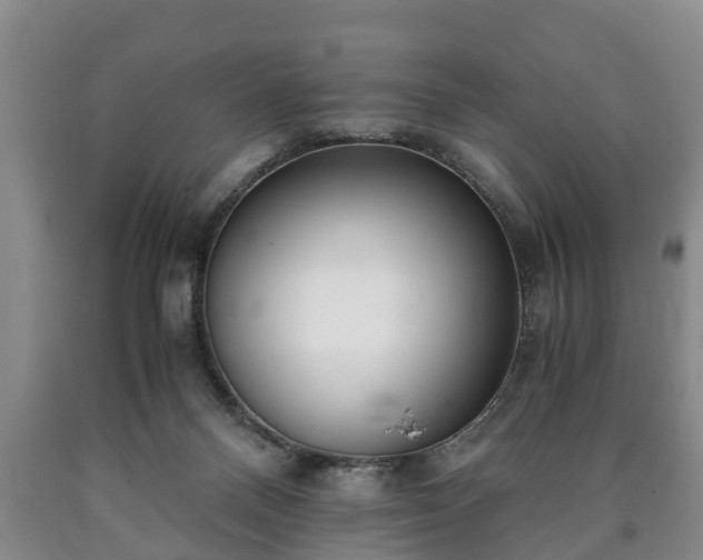 X0000090700120200707271117