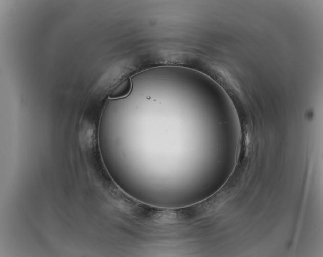 X0000090700123200707271117