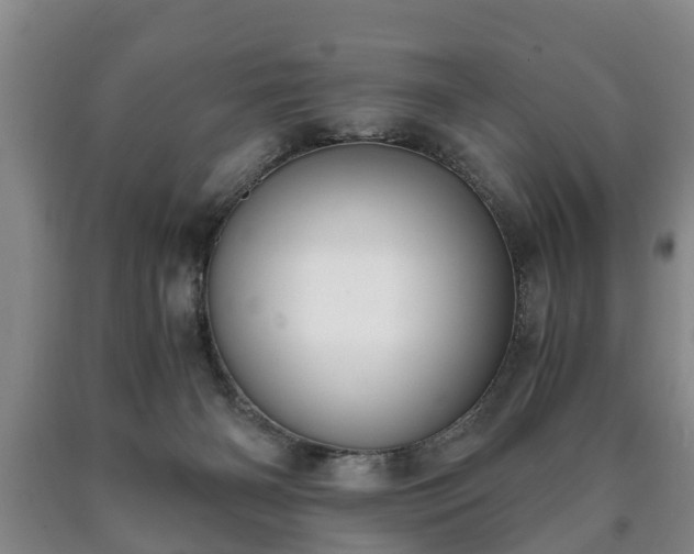 X0000090700126200707271117