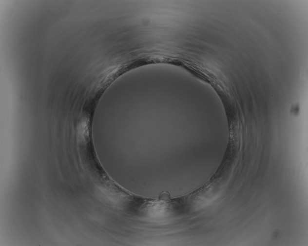 X0000090700127200707271117