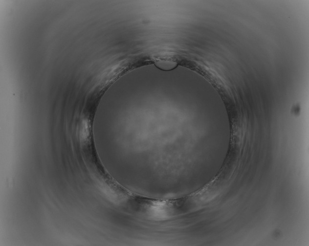 X0000090700130200707271117