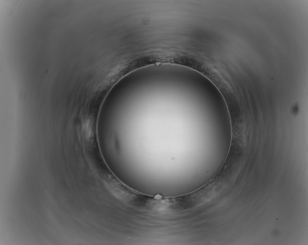 X0000090700131200707271117