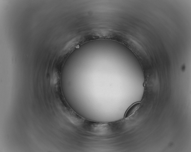 X0000090700132200707271117