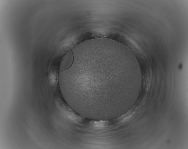 X0000090700134200707271117