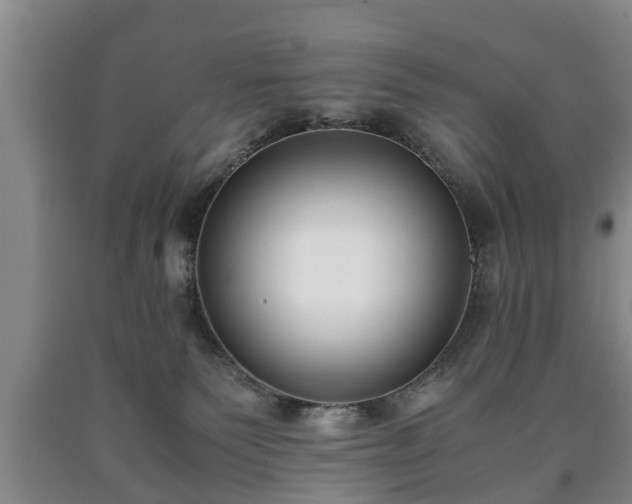 X0000090700135200707271117