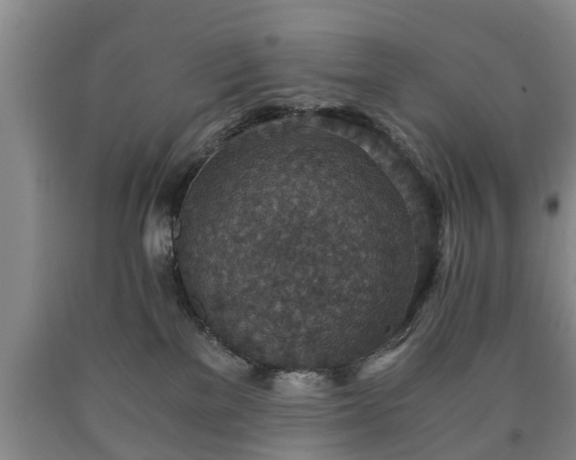 X0000090700137200707271117