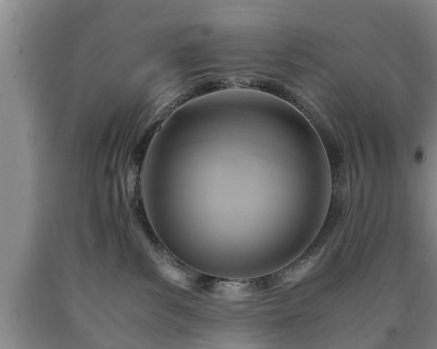 X0000090700139200707271117