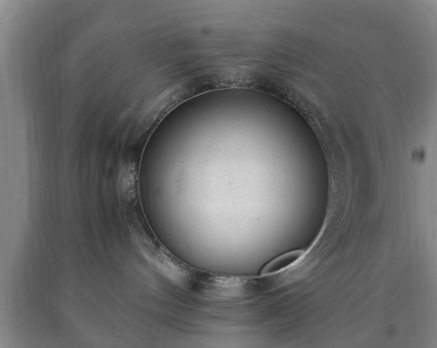 X0000090700144200707271117