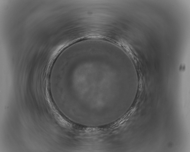 X0000090700145200707271116