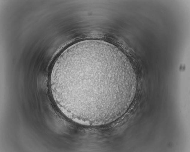 X0000090700146200707271116