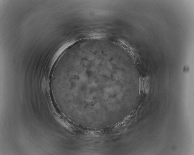 X0000090700147200707271116