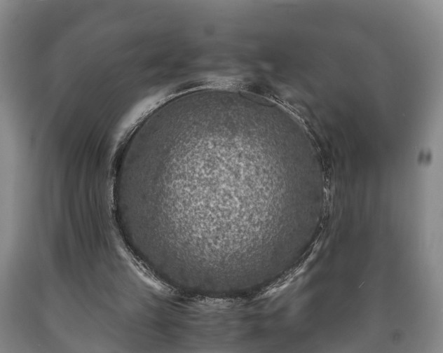 X0000090700149200707271116