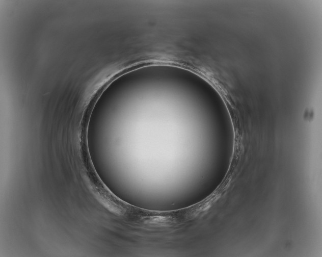 X0000090700151200707271116