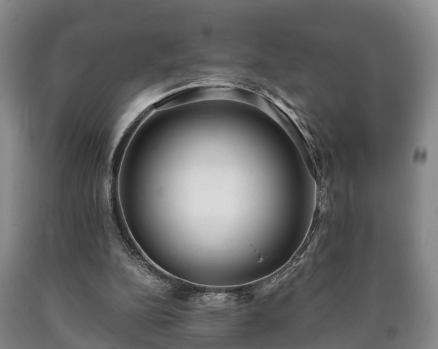 X0000090700152200707271116