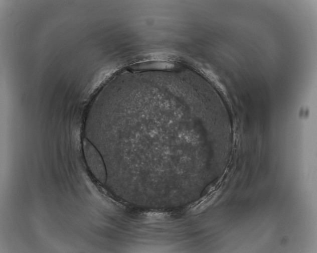 X0000090700154200707271116