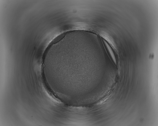 X0000090700156200707271116