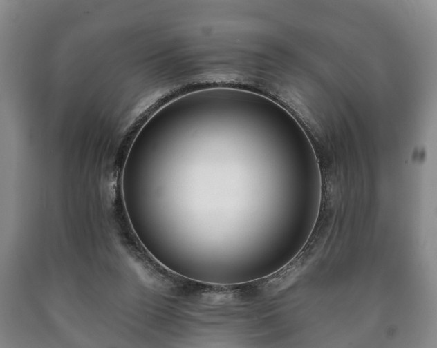 X0000090700160200707271117