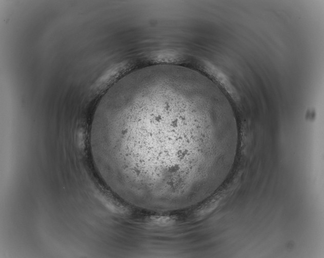 X0000090700161200707271117