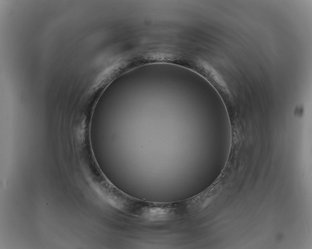 X0000090700163200707271117