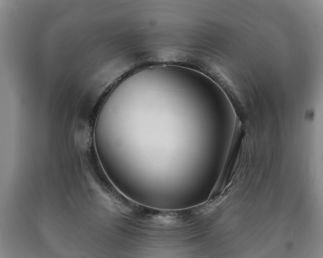 X0000090700164200707271117