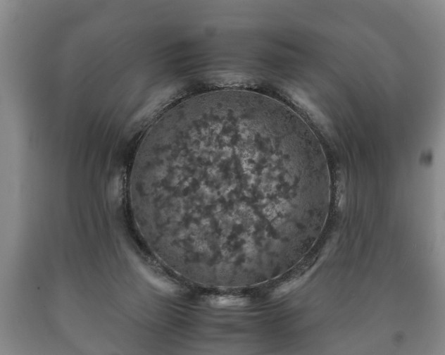 X0000090700165200707271117