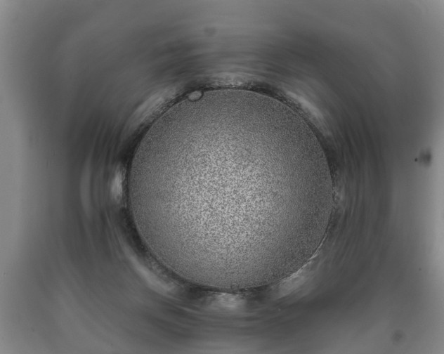 X0000090700166200707271117