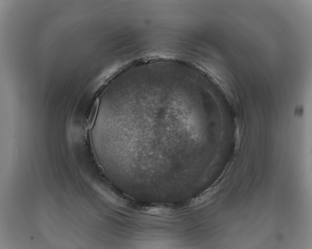 X0000090700168200707271117